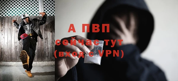 амф Алексин