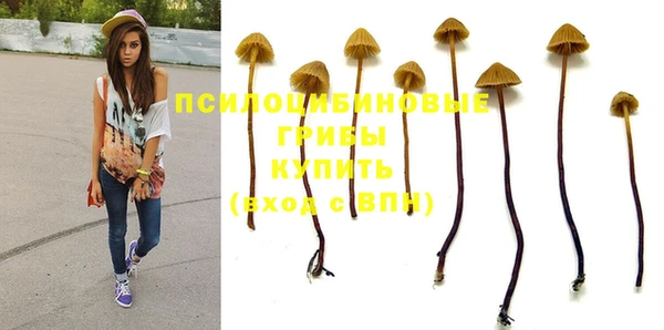 амф Алексин