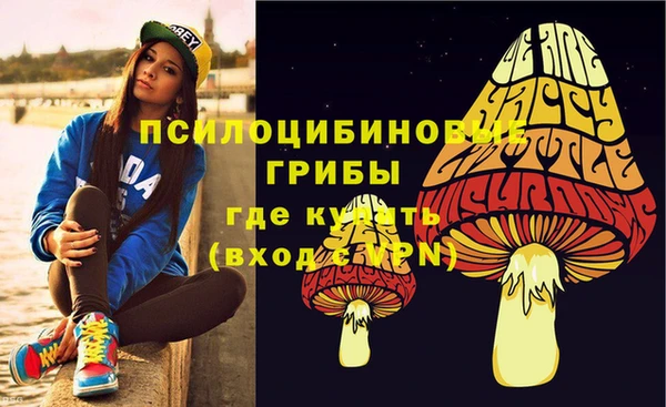 амф Алексин