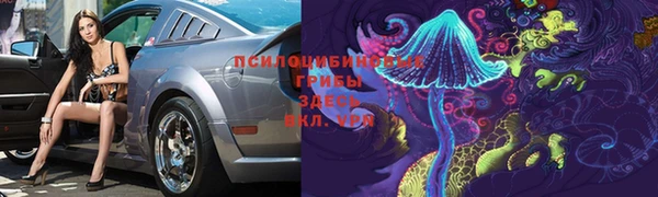 амф Алексин